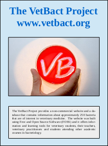 Broschyr om VetBact(PDF).