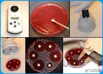 Diffusion methods