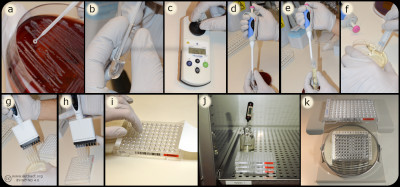 Dilutions methods