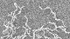 <p><strong>Fig. 132:2.</strong> Scanning electron micrograph of <i>Brachyspira intermedia</i>, strain PWS/A<sup>T</sup>. Note the periplasmic flagella (= endoflagella or axial filament), which are visible where the outer membrane has been disrupted.</p>

<p> </p>