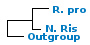 <strong>Fig. 228:1.</strong> Phylogenetic tree based on 16S rRNA gene sequences, which illustrates the relations between members of the classes <i>α-proteobacteria</i> and <i>β-proteobacteria</i>, which are indicated with vertical bars. All taxa in the tree belong to the phylum <i>Proteobacteria</i> except <i>Fusobacterium necrophorum</i> subsp. <i>necrophorum</i>, which belongs to the phylum <i>Fusobacteria</i>. Names of taxa in blue are included in VetBact and taxa in bold are included in this  bacterial page.</p> 

<p>The tree was generated on line by using the computer program "Tree Builder" at <a href="http://rdp.cme.msu.edu/" target="_blank">the website of RDP</a>. <i>F. necrophorum</i> subsp. <i>necrophorum</i> was chosen as outgroup. (T) means type strain. Date 2015-12-10.</p>