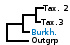 <strong>Fig. 51:1.</strong> Phylogenetic tree based on 16S rRNA gene sequences, which illustrates the relations between members of the classes <i>α-proteobacteria</i> and <i>β-proteobacteria</i>, which are indicated with vertical bars. All taxa in the tree belong to the phylum <i>Proteobacteria</i> except <i>Fusobacterium necrophorum</i> subsp. <i>necrophorum</i>, which belongs to the phylum <i>Fusobacteria</i>. Names of taxa in blue are included in VetBact and taxa in bold are included in this  bacterial page.</p> 

<p>The tree was generated on line by using the computer program "Tree Builder" at <a href="http://rdp.cme.msu.edu/" target="_blank">the website of RDP</a>. <i>F. necrophorum</i> subsp. <i>necrophorum</i> was chosen as outgroup. (T) means type strain. Date: 2016-01-14.</p>