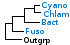 <strong>Fig. 171:1</strong> Phylogenetic tree based on 16S rRNA gene sequences, which illustrates the relations between members of the following phyla: <i>Cyanobacteria, Chlamydiae, Bacteroidetes</i> and <i>Fusobacteria</i>, which are indicated by vertical bars. Names of taxa in blue are included in VetBact and taxa in bold are included in this  bacterial page.</p> 

<p>The tree was generated on line by using the computer program "Tree Builder" at <a href="http://rdp.cme.msu.edu/" target="_blank">the website of RDP</a>. <i>E. coli</i> was chosen as outgroup. (T) means type strain. Date: 2016-03-02.</p>