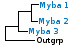 <strong>Fig. 7:1.</strong> Phylogenetic tree based on 16S rRNA gene sequences, which illustrates the relations between members of the phylum <i>Actinobacteria</i>. All taxa in the tree belong to this phylum except <i>Bacillus cereus</i> and <i>Clostridium perfringens</i>, which constitute the outgroup and belong to the phylum <i>Firmicutes</i>. <i>Crossiella equi</i> has been placed within the order <i>Pseudonocardiales</i> although it is more closely related to the genera Rhodococcus and Nocardia. The three orders of phylum <i>Actinobacteria</i>, which are represented in VetBact are indicated by vertical bars. Names of taxa in blue are included in VetBact and taxa in bold are included in this  bacterial page.</p> 

<p>The tree was generated on line by using the computer program "Tree Builder" at <a href="http://rdp.cme.msu.edu/" target="_blank">the website of RDP</a>. (T) means type strain. Date: 2017-01-19.</p>