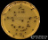 <p><b>Fig. 20:8.</b> Colonies of <i>Staphylococcus aureus</i> subsp. <i>aureus</i> cultivated on <a href="http://www.vetbact.org/vetbact/?displayextinfo=96" target="_blank"><b>Baird-Parker agar</b></a>. The length of the scale bar is equivalent to 1 cm. Date: 2017-05-03.</p>

<p> </p>