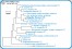 <p><strong>Fig. 76:1.</strong> Phylogenetic tree, which is based on 16S rRNA gene sequences and show the natural relations between members of the family <em>Enterobacteriaceae, </em>which belongs to the phylum<em> </em> <em>Proteobacteria</em>. Note that the genera <em>Escherichia</em> and <em>Shigella</em> are very closely related.</p>

<p>The tree was genererated by using the  computer program "Tree Builder" at <a href="http://rdp.cme.msu.edu/" target="_blank">RDP's web site</a>. <em>Clostridium botulinum</em>, typ C, which belongs to phylum <em>Tenericutes,</em> was used as outgroup. (T) means typ strain. The length of the scale bar is equivalent to one nucleotide difference per 100 nucleotide positions. Date: 2018-01-25.</p>