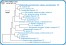 <p><strong>Fig. 69:9.</strong> Phylogenetic tree, which is based on 16S rRNA gene sequences ond show the natural relations between members of the family <em>Enterobacteriaceae, </em>which belongs to the phylum<em> </em> <em>Proteobacteria</em>. Note that the genera <em>Klebsiella</em> and <em>Citrobacter</em> are very closely related.</p>

<p>The tree was genererated by using the  computer program "Tree Builder" at <a href="http://rdp.cme.msu.edu/" target="_blank">RDP's web site</a>. <em>Clostridium botulinum</em>, typ C, which belongs to phylum <em>Tenericutes,</em> was used as outgroup. (T) means typ strain. The length of the scale bar is equivalent to one nucleotide difference per 100 nucleotide positions. Date: 2018-02-01.</p>