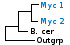 <strong>Fig. 119:1.</strong> Phylogenetic tree based on 16S rRNA gene sequences, which illustrates the relations between members of the class <i>Mollicutes</i>. All taxa in the tree belong to the phylum <i>Teniericutes</i> except <i>Bacillus cereus</i> and <i>Clostridium botulinum</i>, which belong to the phylum <i>Firmicutes</i> and <i>Escherichia coli</i>, which belongs to the phylum <i>Proteobacteria</i>. The mycoplasmas of the mycoides group and the hemotropic mykoplasmas are indicated by vertical bars. Names of taxa in blue are included in VetBact and taxa in bold are included in this  bacterial page.</p> 

<p>The tree was generated on line by using the computer program "Tree Builder" at <a href="http://rdp.cme.msu.edu/" target="_blank">the website of RDP</a>. <i>E. coli</i> was chosen as outgroup. (T) means type strain. Date: 2016-01-21.</p>