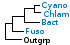 <strong>Fig. 184:1</strong> Phylogenetic tree based on 16S rRNA gene sequences, which illustrates the relations between members of the following phyla: <i>Cyanobacteria, Chlamydiae, Bacteroidetes</i> and <i>Fusobacteria</i>, which are indicated by vertical bars. Names of taxa in blue are included in VetBact and taxa in bold are included in this  bacterial page.</p> 

<p>The tree was generated on line by using the computer program "Tree Builder" at <a href="http://rdp.cme.msu.edu/" target="_blank">the website of RDP</a>. <i>E. coli</i> was chosen as outgroup. (T) means type strain. Date: 2016-03-02.</p>