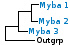 <strong>Fig. 7:1.</strong> Phylogenetic tree based on 16S rRNA gene sequences, which illustrates the relations between members of the phylum <i>Actinobacteria</i>. All taxa in the tree belong to this phylum except <i>Bacillus cereus</i> and <i>Clostridium perfringens</i>, which constitute the outgroup and belong to the phylum <i>Firmicutes</i>. <i>Crossiella equi</i> has been placed within the order <i>Pseudonocardiales</i> although it is more closely related to the genera Rhodococcus and Nocardia. The three orders of phylum <i>Actinobacteria</i>, which are represented in VetBact are indicated by vertical bars. Names of taxa in blue are included in VetBact and taxa in bold are included in this  bacterial page.</p> 

<p>The tree was generated on line by using the computer program "Tree Builder" at <a href="http://rdp.cme.msu.edu/" target="_blank">the website of RDP</a>. (T) means type strain. Date: 2017-01-19.</p>